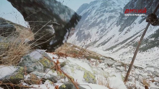 Среднекавказский тур. Кубанский тур. Российский кавказский приз. смотреть онлайн