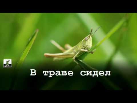 В траве сидел кузнечик