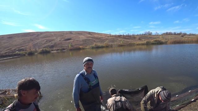 Проект "Аренда водоёма" 54 (ДР) silver carp смотреть онлайн