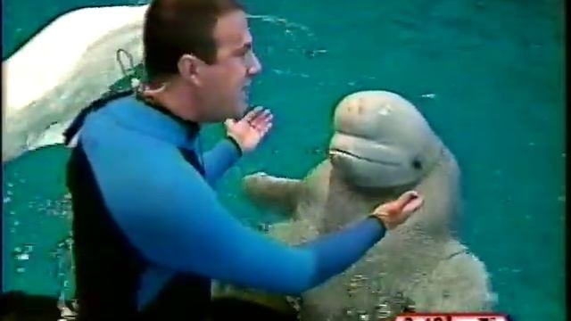 Fox Thing in the Morning 1998 #15 thru 2 смотреть онлайн