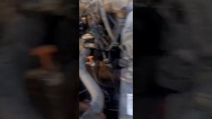 тойота 2.4 2az fe стук при запуске  . муфты vvti фильтр муфты