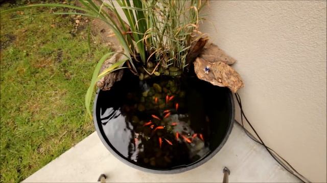 Мини пруд на даче, ЛЕГКО! Как я сделал мини прудик на участке! смотреть онлайн