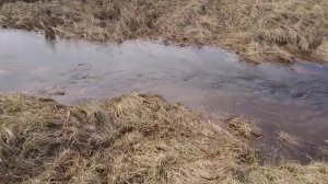 Вездеход Хищник 1700