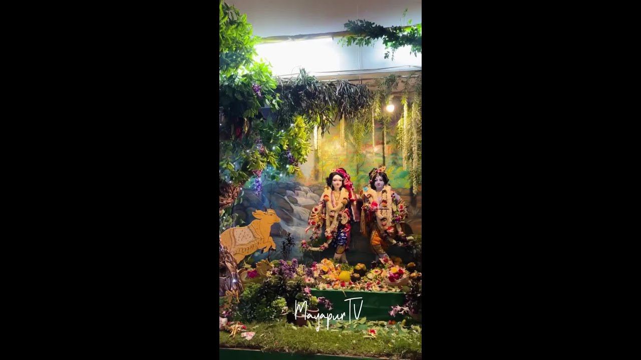 HAPPY BALARĀMA PURNIMA! смотреть онлайн