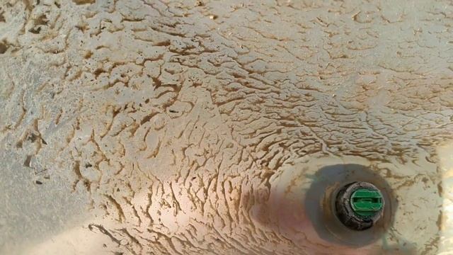 Гербициды. Клубника. Часть 2. Belklubnika.by (1).mp4 смотреть онлайн