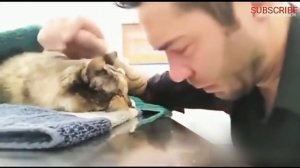 БЕЗУМНО ТРОГАТЕЛЬНЫЕ ВИДЕО, видео до слез