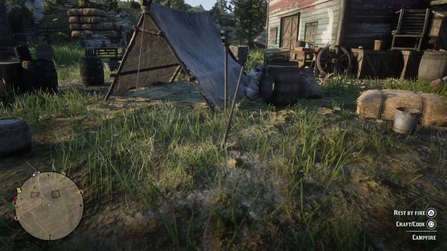 Actual witch craft in Red Dead Redemption 2 смотреть онлайн