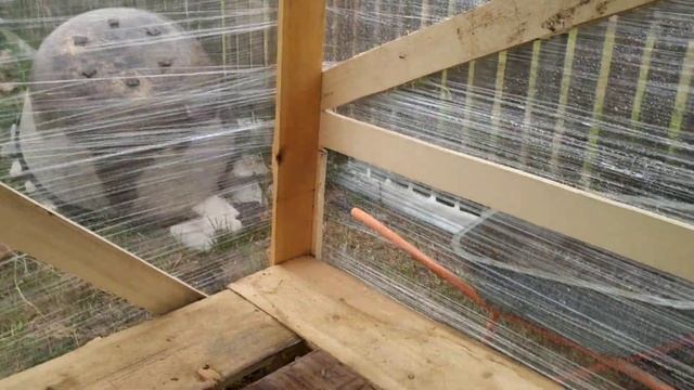 Каркасный дом за 30 дней. Строим дом от А до Я. смотреть онлайн