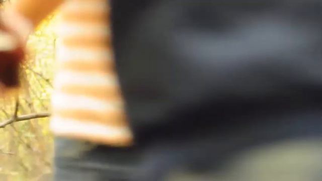 День учителя так сказать смотреть онлайн