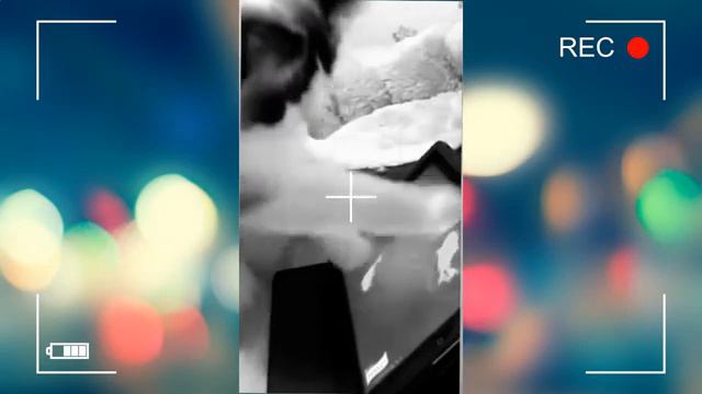 😺Funny cats and pets! Part 8🔥Смешные котики и домашние животные! Часть 8🔥 смотреть онлайн