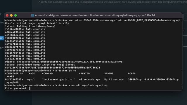 Mejor instalacion de Mysql en Docker y conexion eficiente смотреть онлайн