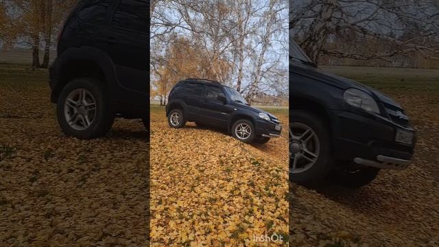 Нива шевроле переежяет яму в лесу смотреть онлайн