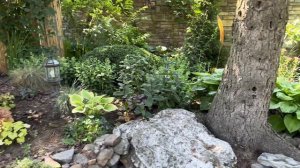 Обзор летнего сада,миксбордеры