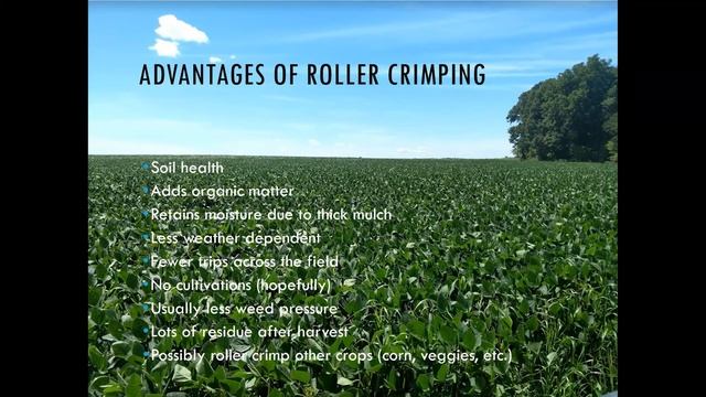 Organic Soybeans: Managing the Challenge with Three Different Production Methods смотреть онлайн