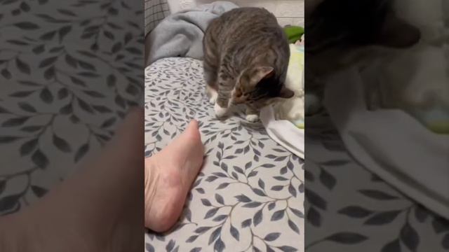 И хочется и ... смотреть онлайн