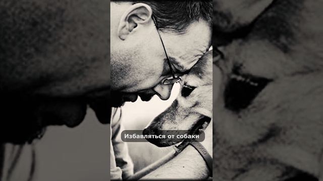 СОБАКА УКУСИЛА РЕБЕНКА ЗА ГОЛОВУ! Кусает ДЕТЕЙ Что делать? Усыпление - не выход ИСТОРИЯ ИЗ ПРАКТИКИ смотреть онлайн