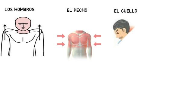 Испанский язык.Учим слова. Части тела. Начальный уровень. смотреть онлайн