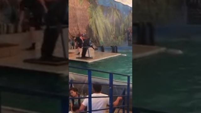 Океанариум В Кустанае смотреть онлайн