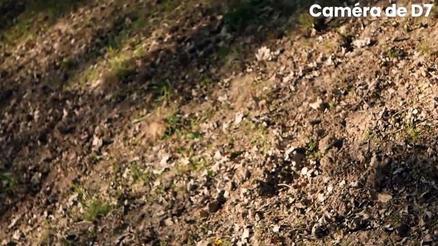 J'ai ESSAYÉ De Jouer à ROCKET LEAGUE EN PLEINE FORÊT
