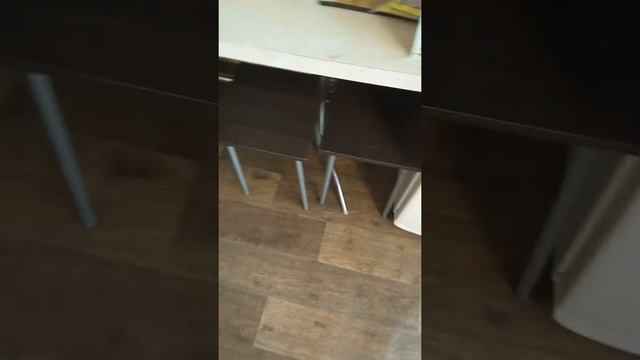 Хозяйка заговорила на кошачьем языке. Реакция кошки... смотреть онлайн