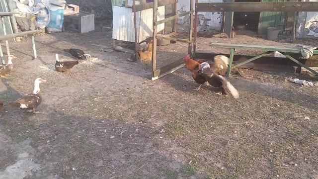 Весенние бои смотреть онлайн
