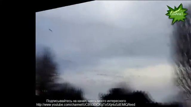 Очень смешное видео про животных Very funny video about animals смотреть онлайн