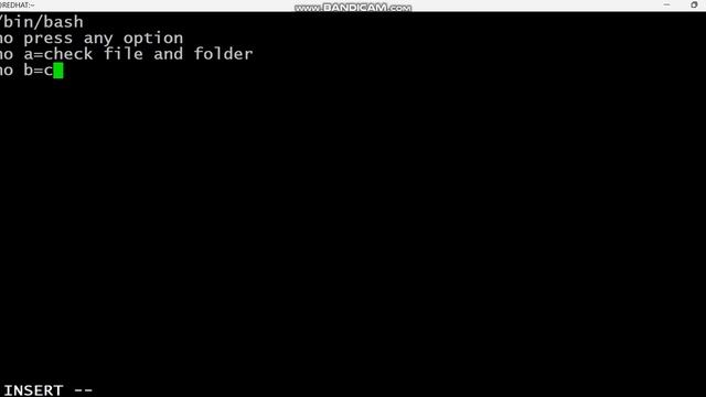 Supercharge Your Shell Scripting Skills with the Case Statement смотреть онлайн