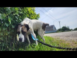 Мы в Новопавловске с Нукером