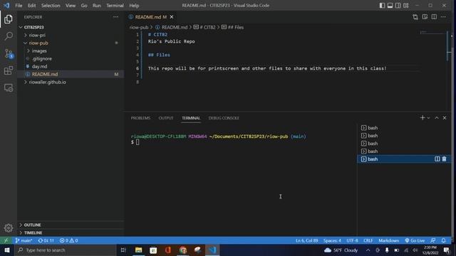 CIT82SP23 - Week 3 Git workflow смотреть онлайн
