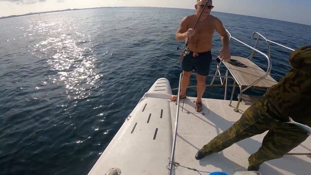 рыбалка на селёдку Севастополь конец ноября 2021 года смотреть онлайн