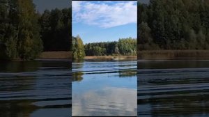 лодка Кайман 31S