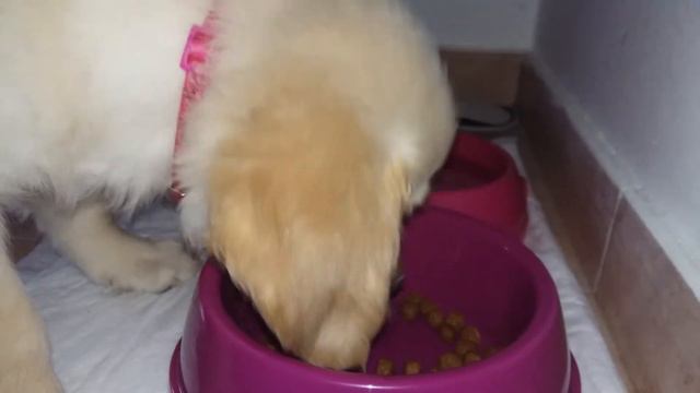 Наша малая Марго. смотреть онлайн