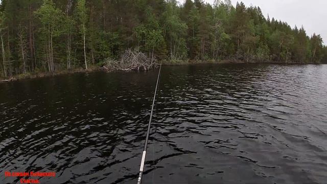 Щука на спиннинг/Хороший клев окуня и плотвы на удочку. смотреть онлайн
