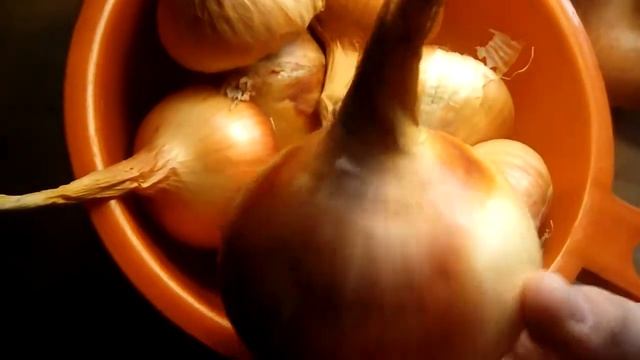 Озимый лук накрываем мульчей смотреть онлайн