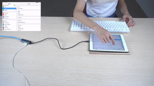 Lightning to Ethernet Adapter for iPad, RJ45 Connector Wired Network, with USB for Keyboard,Chargin смотреть онлайн