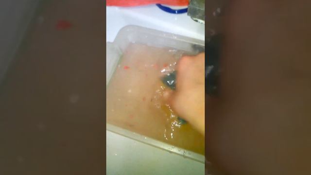 Уборка у улиток