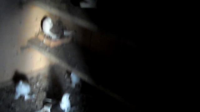 начало сезона сергея ломова 27 02 2016 смотреть онлайн