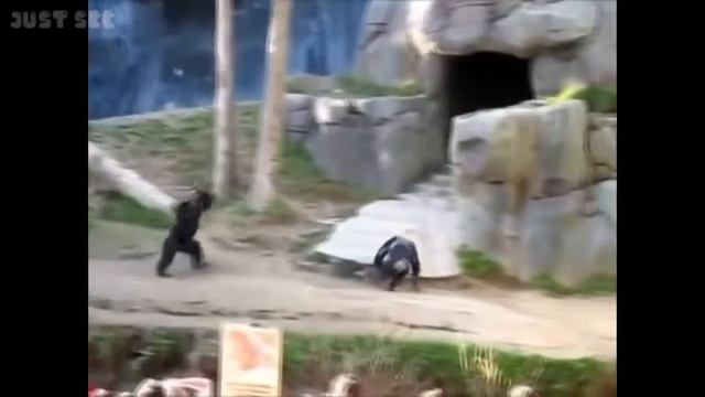 Приколы 2015 Не много сочных поп.....))) смотреть онлайн