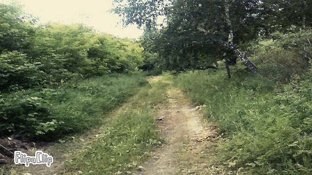 《МЕНУЭТ 》автор Александр Затай (музыка, фото) смотреть онлайн