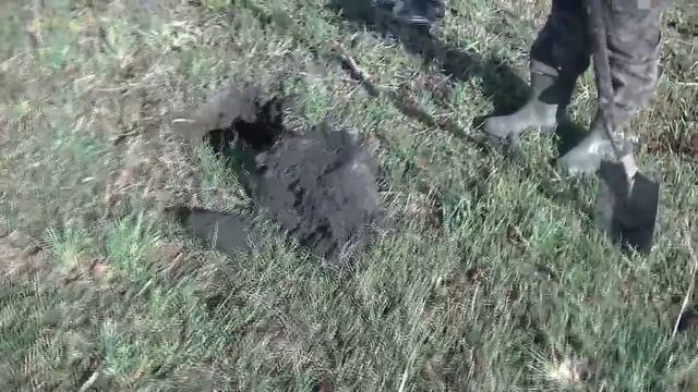 178/Коп на урочище 2020 смотреть онлайн