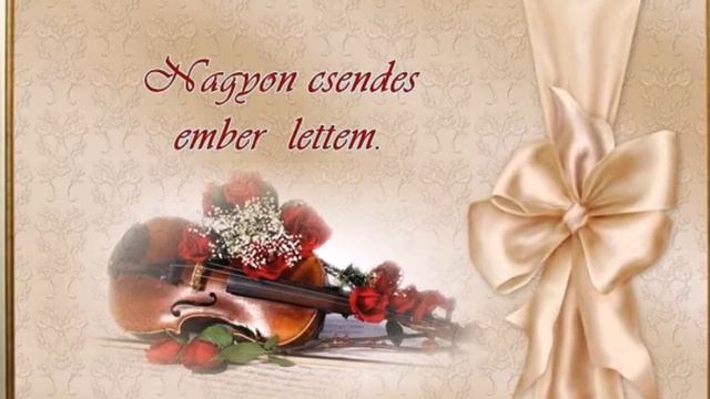 Győri Szabó József : Csendes ember lettem смотреть онлайн