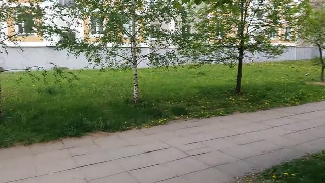 Съемка камерой смартфона Samsung Galaxy J5 (2016) смотреть онлайн