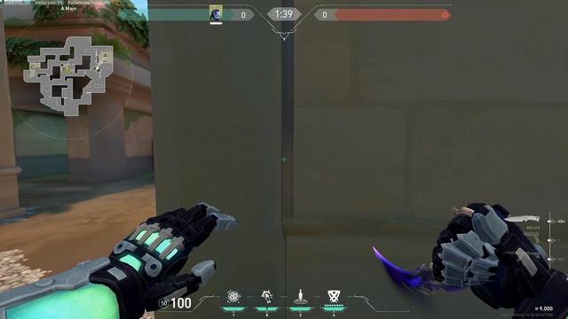 Top 15 New Lotus Kayo Post Plant Lineups | Kayo Lineups Lotus | Kayo Setups Lotus смотреть онлайн