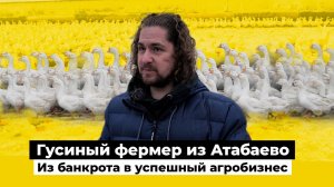 Ставка на гуся Как заработать на гордой птице? И как мобилизация «выкашивает» трактористов?