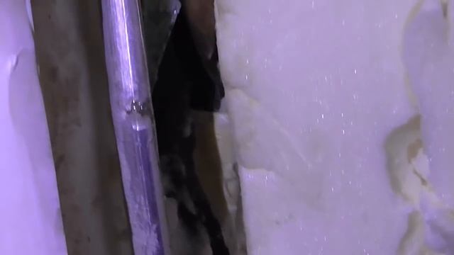 Холодильники года свиньи, Беко=бяка. Часть 1. смотреть онлайн