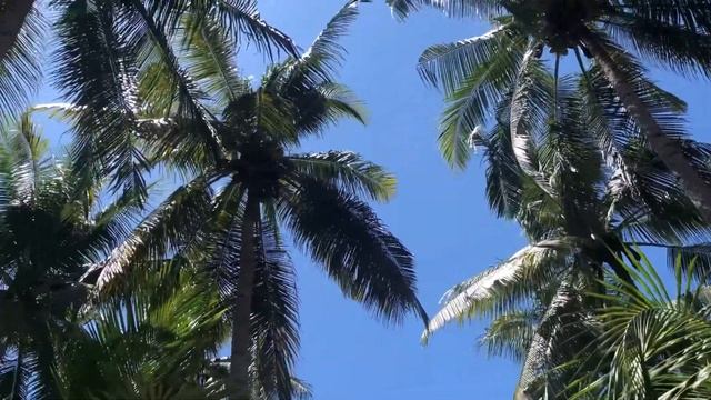 Трансфер на остров Гили Эйр(Gili Air) отель Island view bar & bungalow и закат.Февраль 2019,Выпуск смотреть онлайн