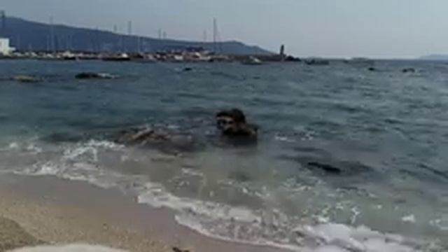 Восстановление Энергетических Границ смотреть онлайн