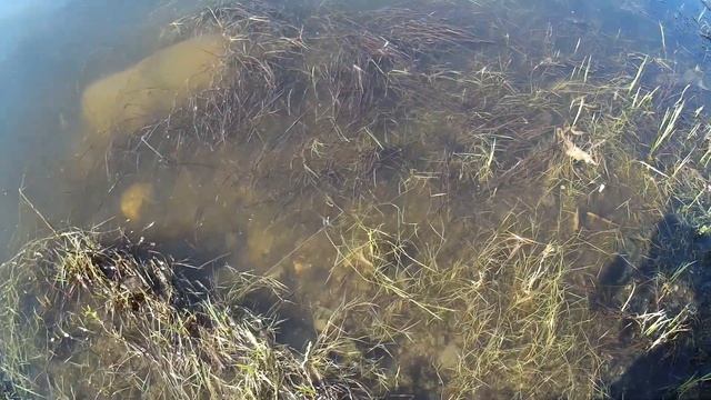 Летний мормышинг в Омске. смотреть онлайн