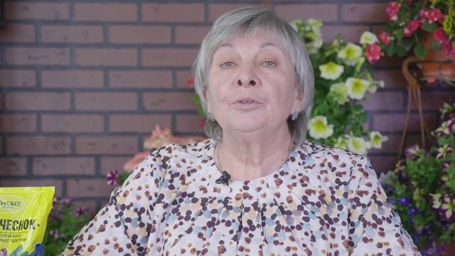 Лук севок лучшие сорта? Голландский лук севок ? Российский лук севок✔️ смотреть онлайн