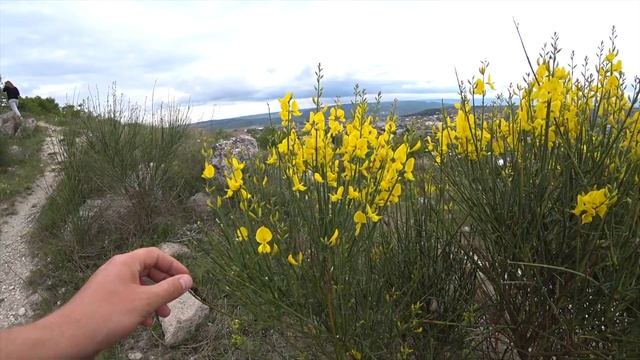 Утренняя прогулка по живописным местам Симферополя. Кроем крышу профнастилом смотреть онлайн